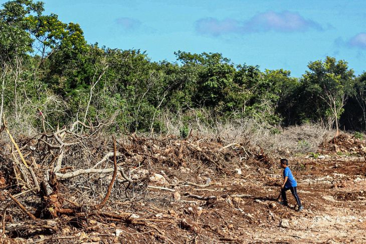 En foro, activistas exponen afectaciones del Tren Maya en la península